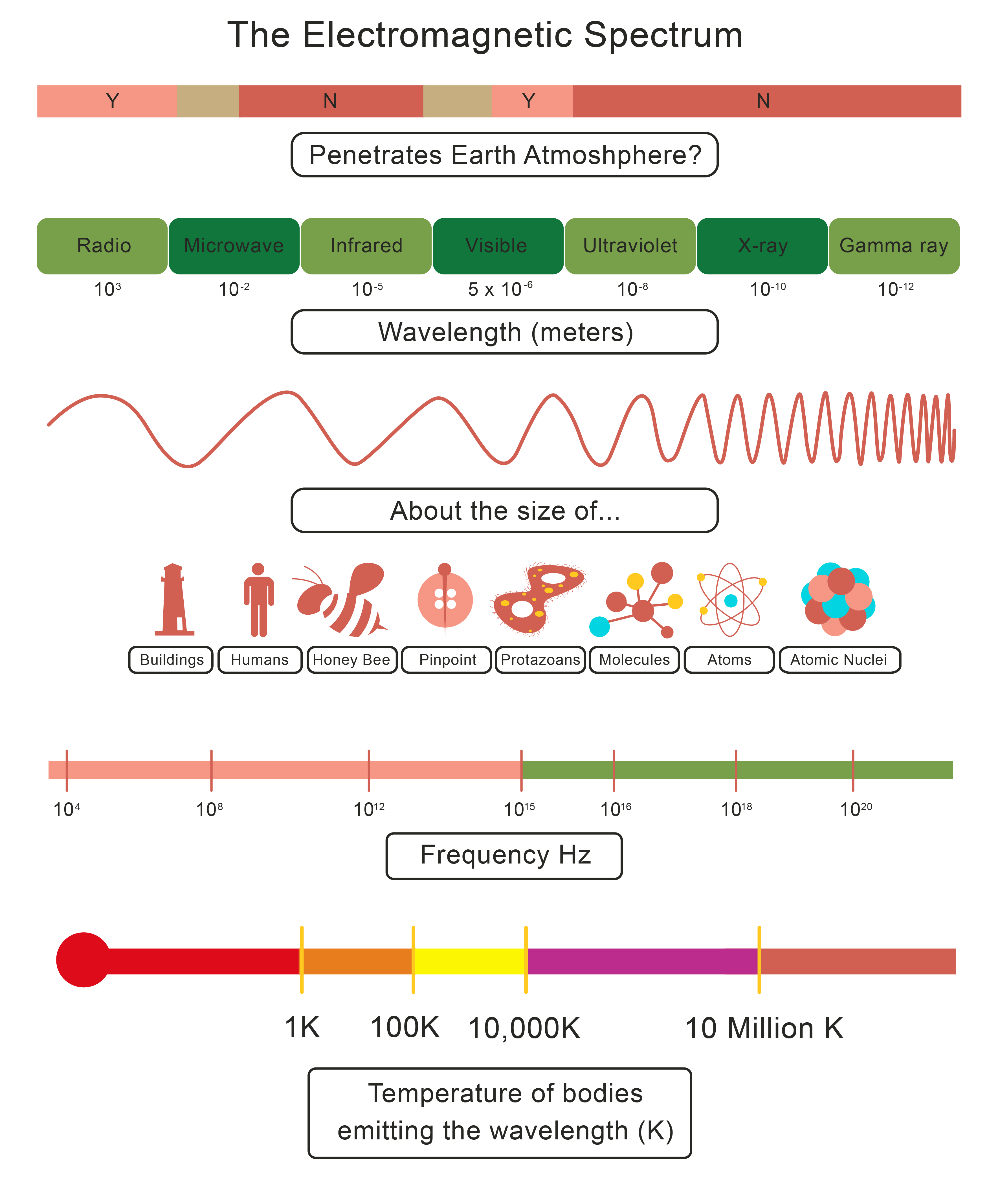 The Diagram Below Shows The Electromagnetic Spectrum